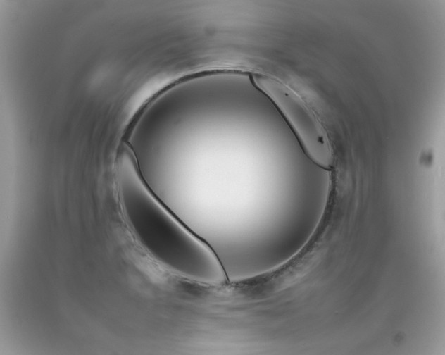 X0000092261230200709141202