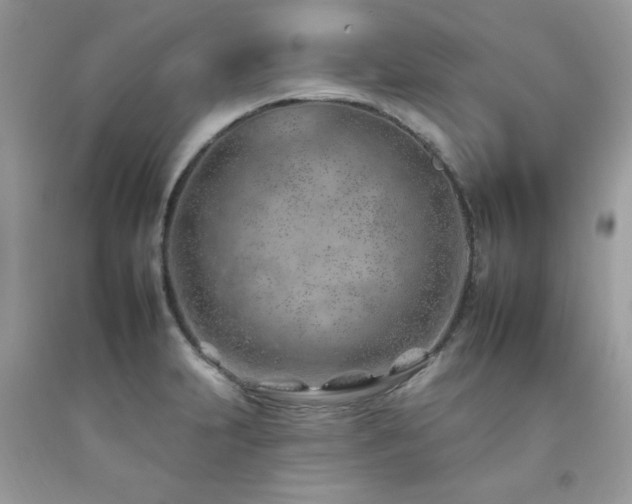 X0000092261231200709141202
