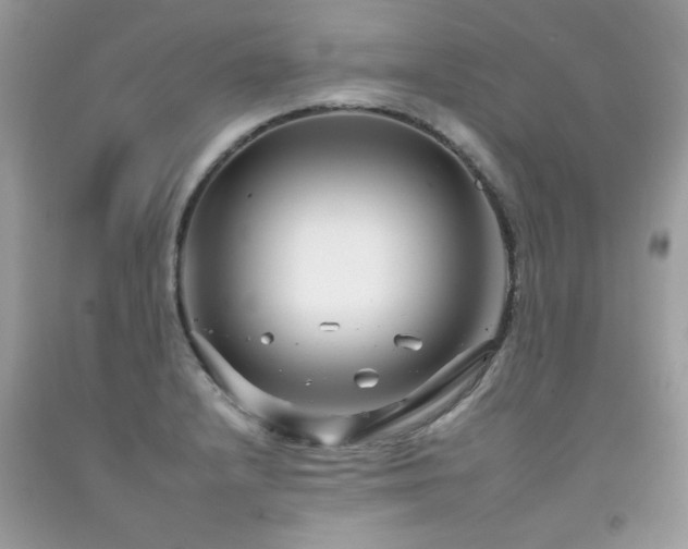 X0000092261232200709141202