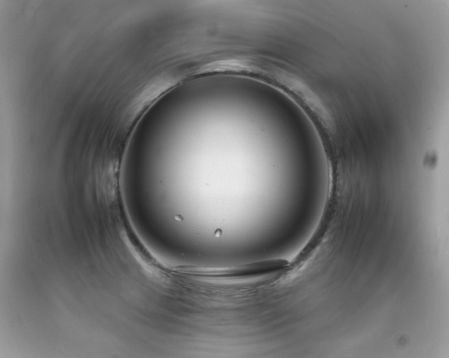 X0000092261233200709141202