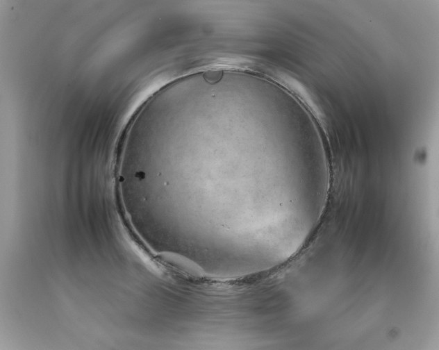 X0000092261235200709141202