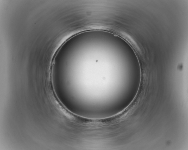 X0000092261236200709141202