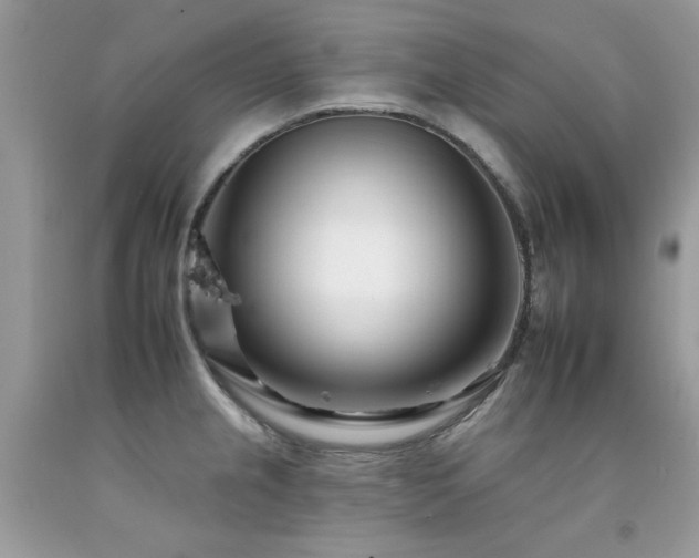 X0000092261237200709141202