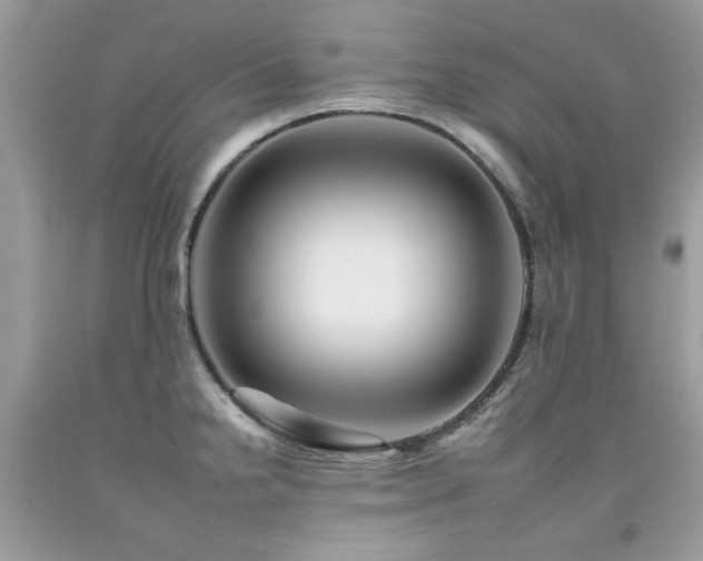 X0000092261238200709141202