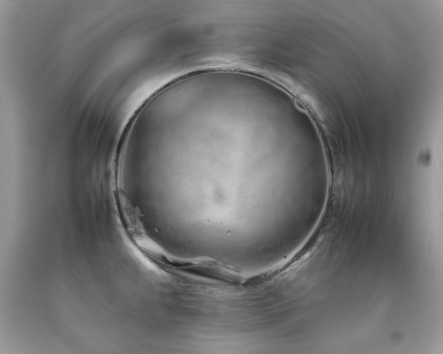 X0000092261239200709141202