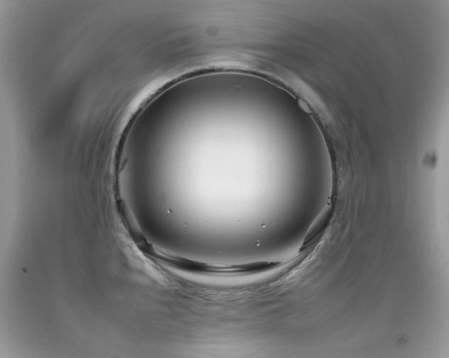 X0000092261240200709141202
