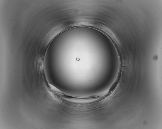 X0000092261241200709141202