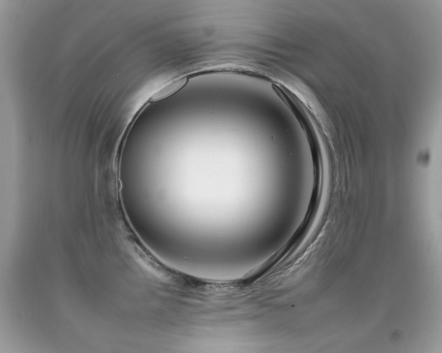 X0000092261242200709141202