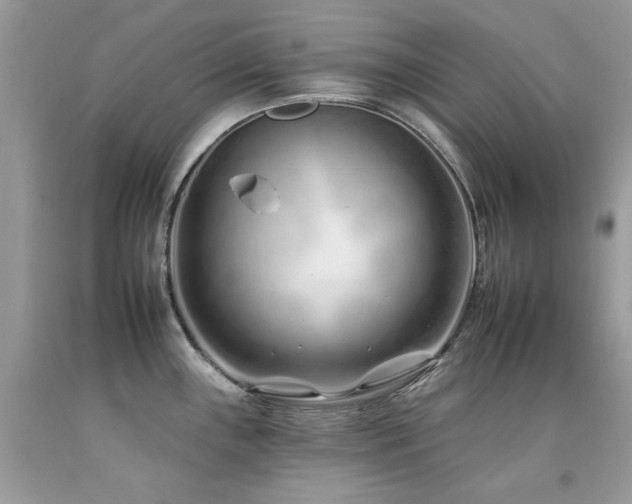 X0000092261243200709141202