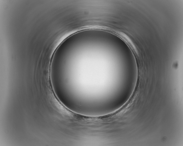X0000092261244200709141202