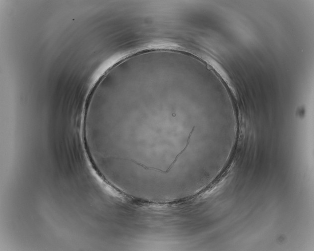 X0000092261245200709141202