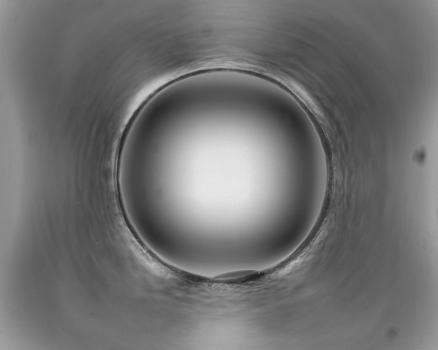 X0000092261246200709141203