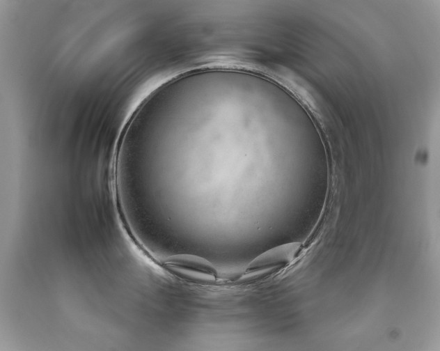 X0000092261247200709141203