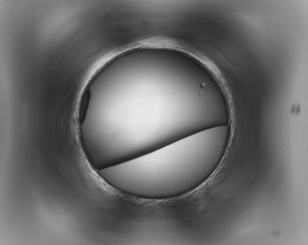X0000092261248200709141203