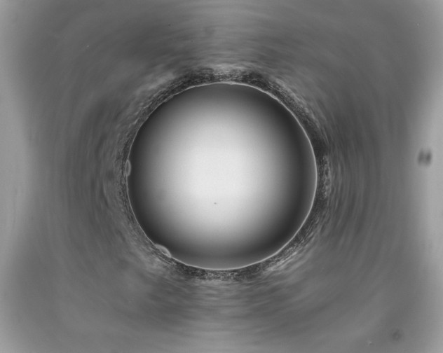 X0000092261249200709141202