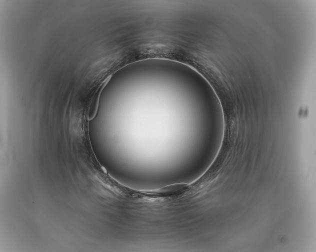 X0000092261250200709141202