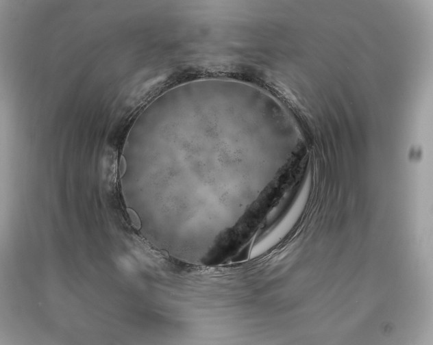 X0000092261251200709141202