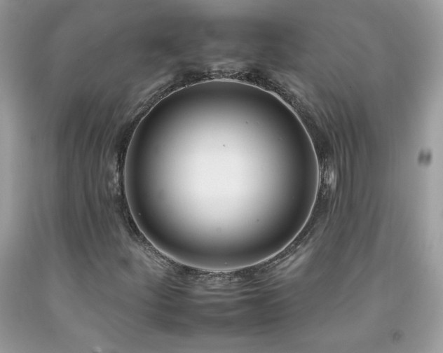 X0000092261252200709141202