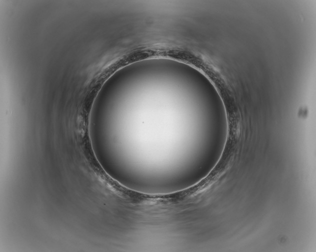 X0000092261253200709141202