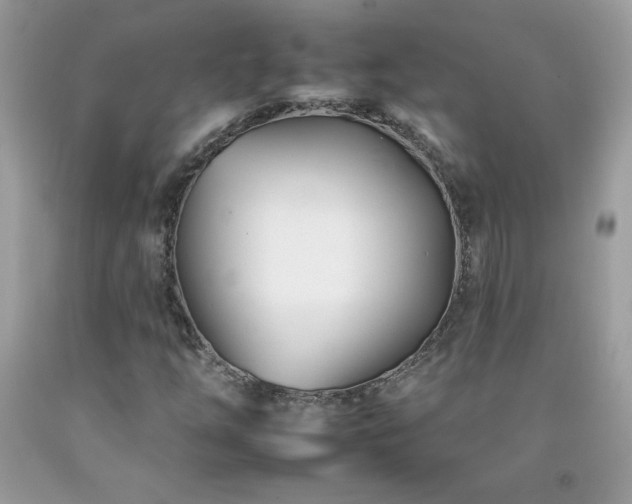 X0000092261254200709141202