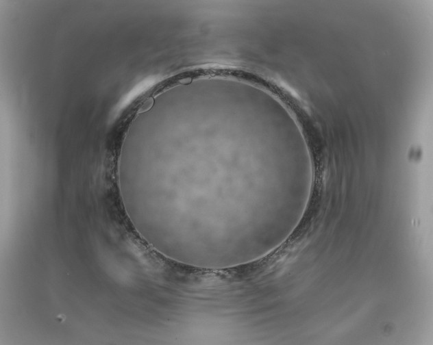 X0000092261255200709141202