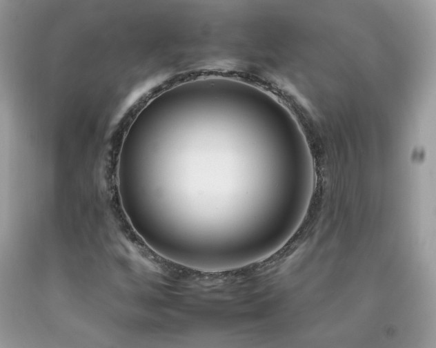 X0000092261256200709141202