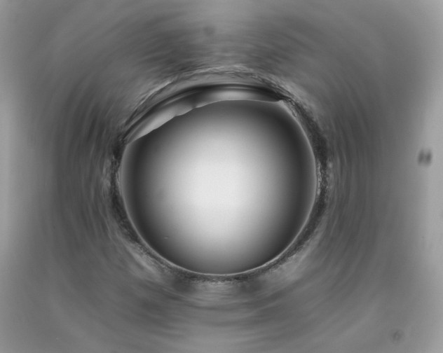 X0000092261257200709141202