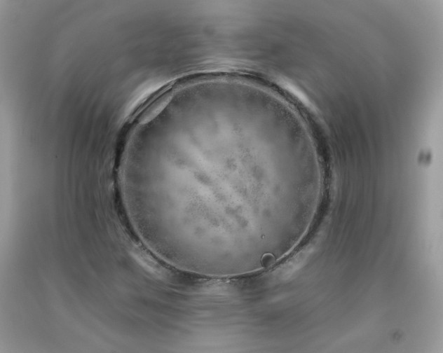 X0000092261259200709141202