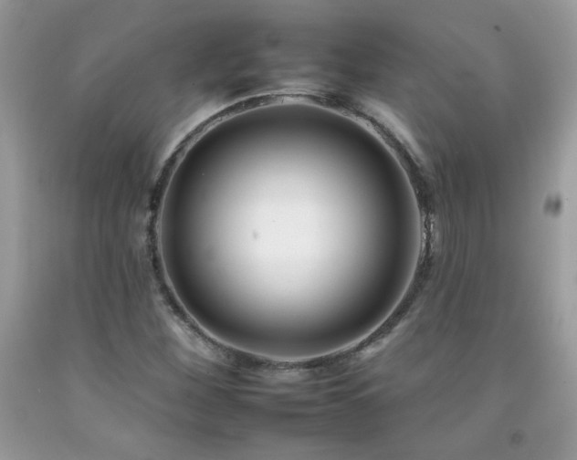 X0000092261260200709141202
