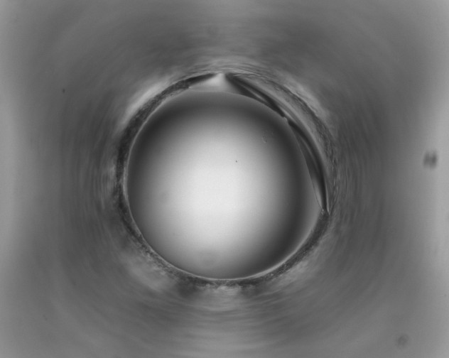 X0000092261261200709141202