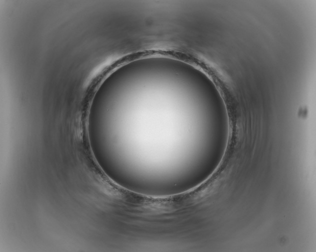 X0000092261262200709141202