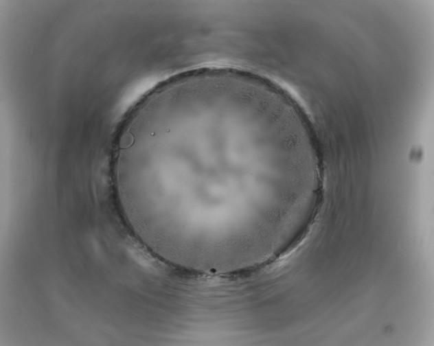 X0000092261263200709141202
