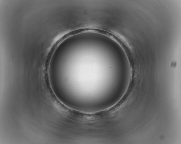 X0000092261264200709141202
