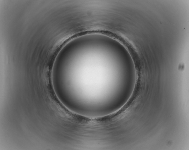 X0000092261265200709141202