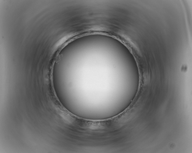 X0000092261266200709141202