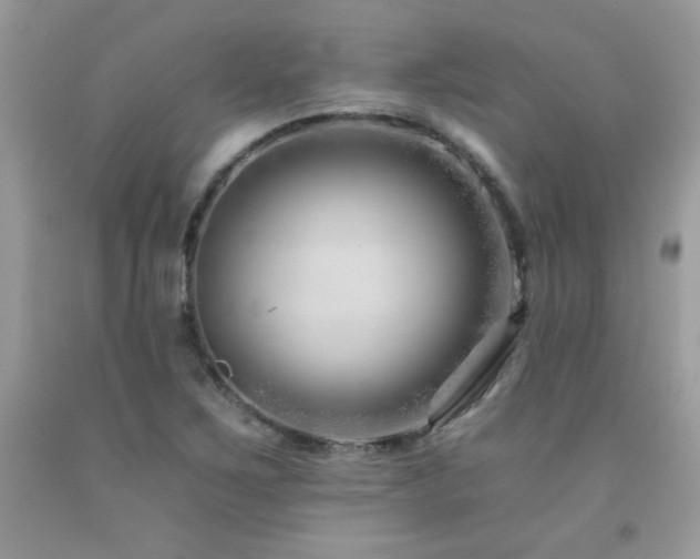 X0000092261267200709141202