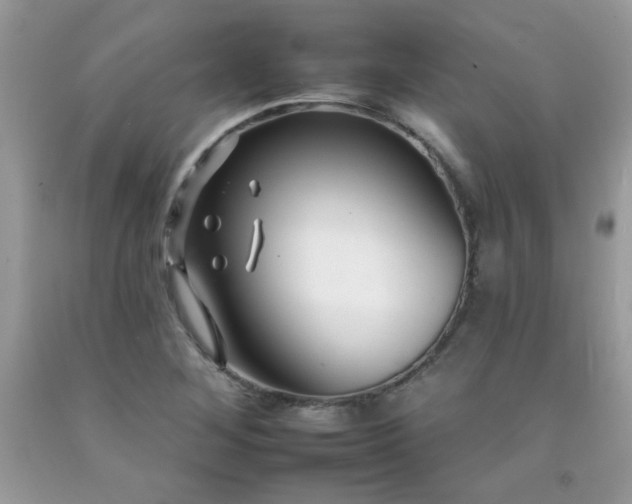 X0000092261268200709141202