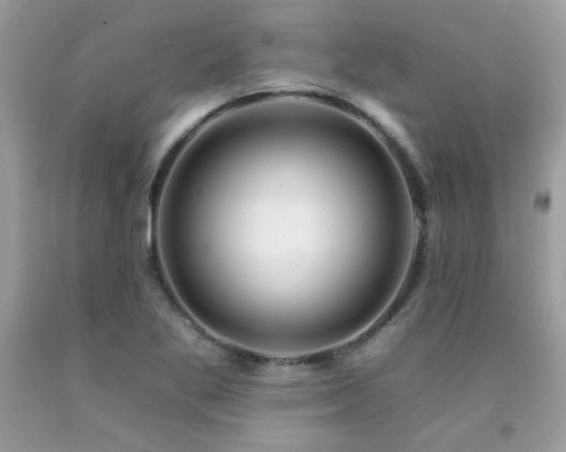 X0000092261269200709141202
