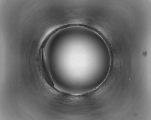 X0000092261270200709141201