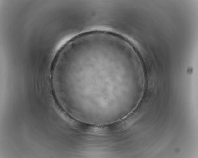 X0000092261271200709141201