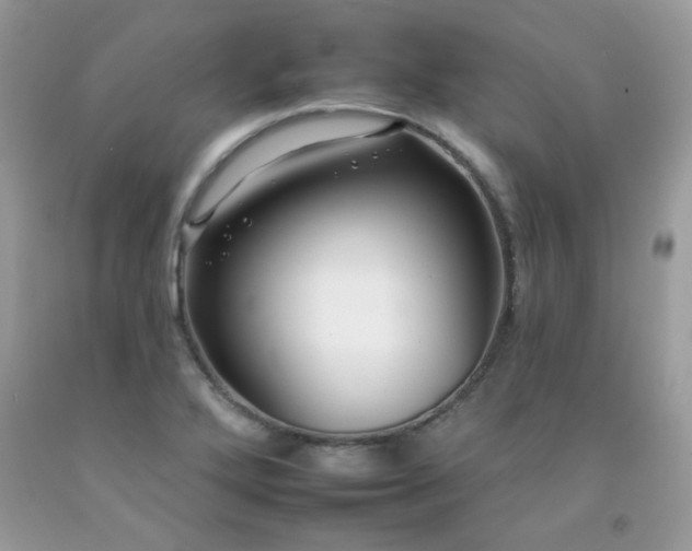X0000092261272200709141201