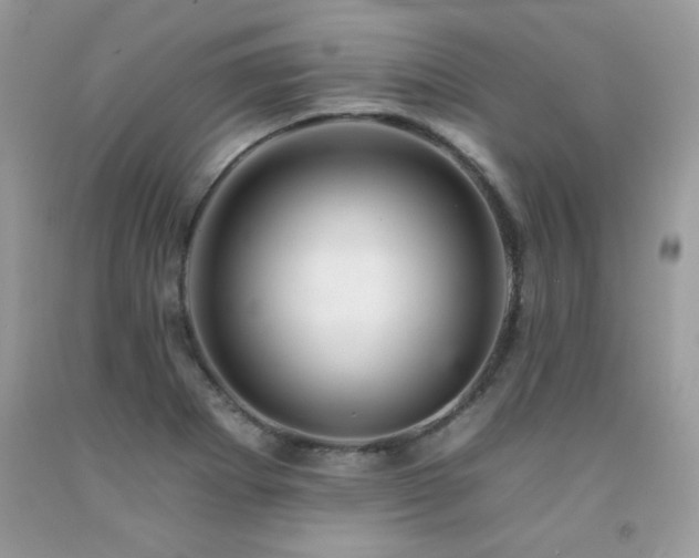 X0000092261273200709141201