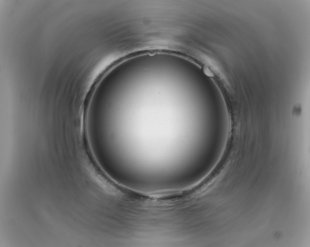 X0000092261275200709141201