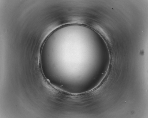 X0000092261276200709141201