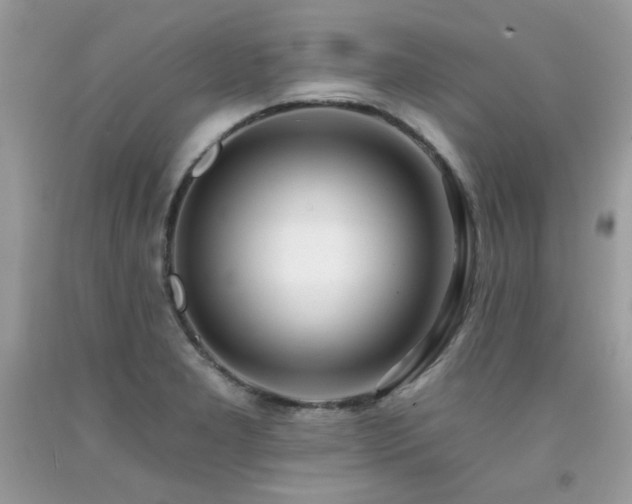 X0000092261277200709141201