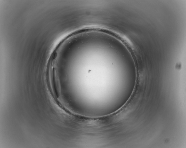 X0000092261279200709141201