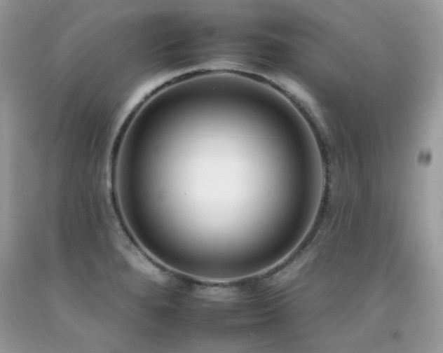 X0000092261280200709141201