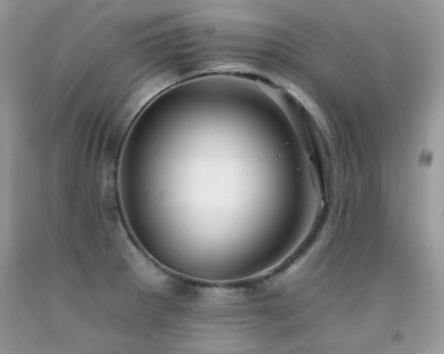 X0000092261281200709141201