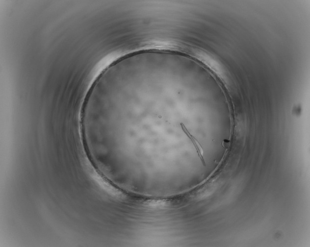 X0000092261283200709141201
