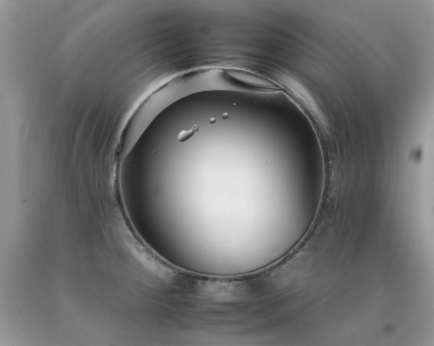 X0000092261284200709141201